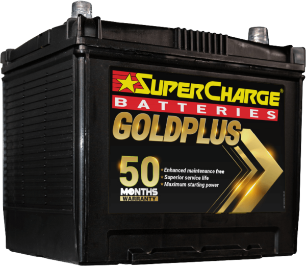 GoldPlus Right